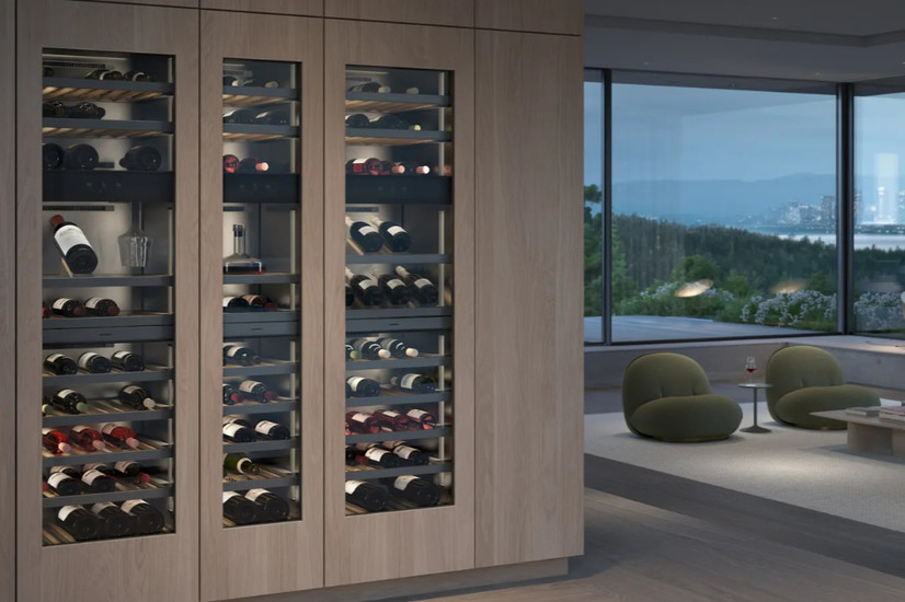 profesionalni-standardi-v-vasem-domu/gaggenau-vinska