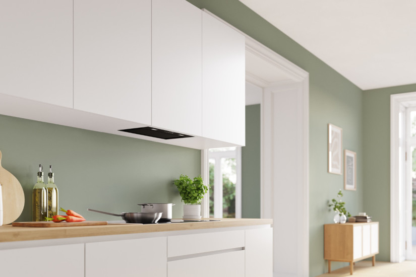 zivi-likebosch-selection/bosch-nape4